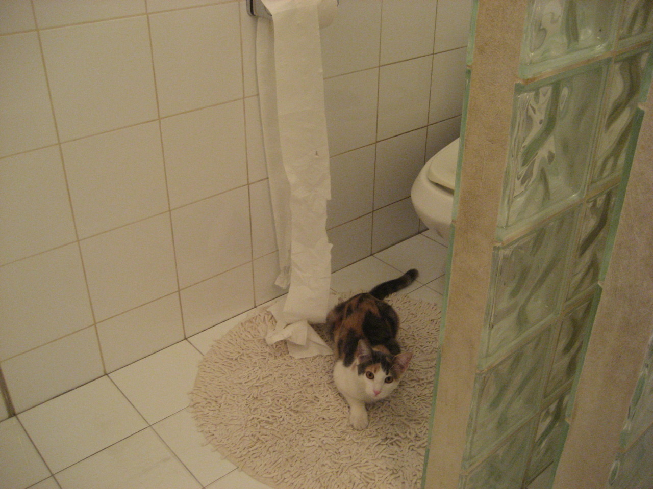 塞内加尔硬仗突显亚非荣光，孙兴慜数据爆炸难掩亚洲一哥梦醒时